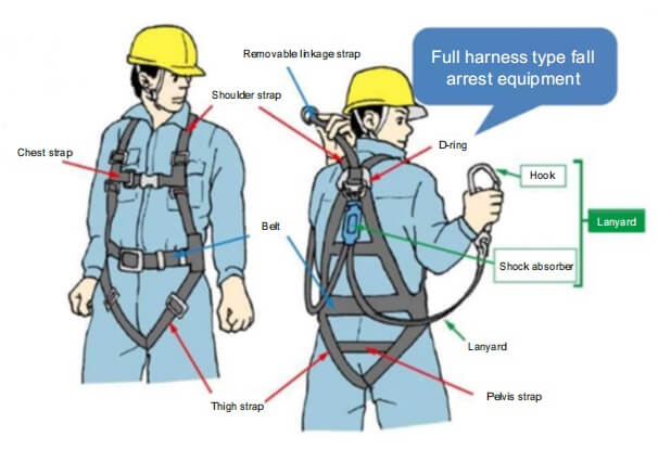 フルハーネス型墜落制止用器具の構造、名称