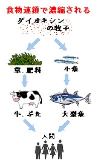 食物連鎖で濃縮されるダイオキシンの粒子