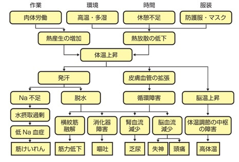 図表2　環境・条件と熱中症の症状