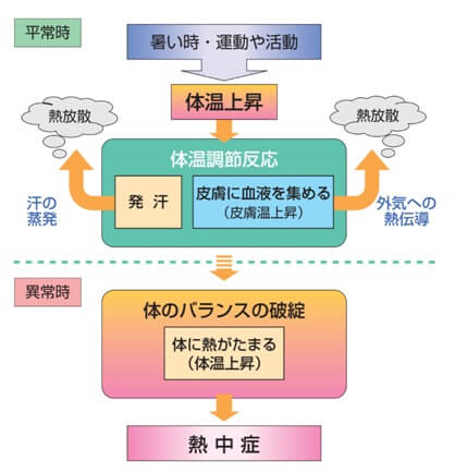 図表13　熱中症が発症する背景