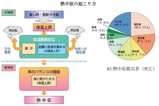 熱中症の起こり方