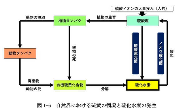 図1-6　自然界における硫黄の循環と硫化水素の発生