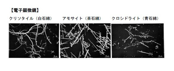 【電子顕微鏡】