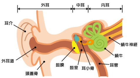 聴力障害と騒音性難聴